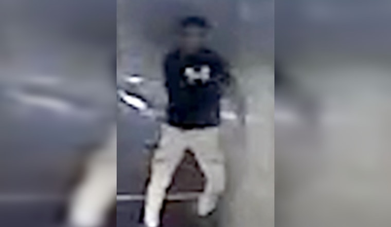 MPD Investigates Fatal Hit-And-Run Involving Stolen Vehicle in Southeast Washington, D.C.