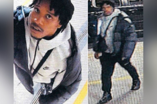 MPD Seeks Public's Assistance to Identify Suspect in Northeast D.C. Camera Theft and Vandalism