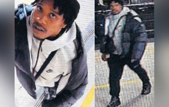 MPD Seeks Public's Assistance to Identify Suspect in Northeast D.C. Camera Theft and Vandalism