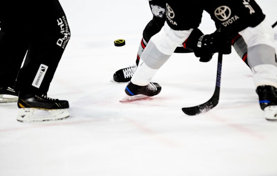 Nashville Predators Reassign Del Gaizo and Gravel to Milwaukee Admirals Amid Lineup Strategy Shift