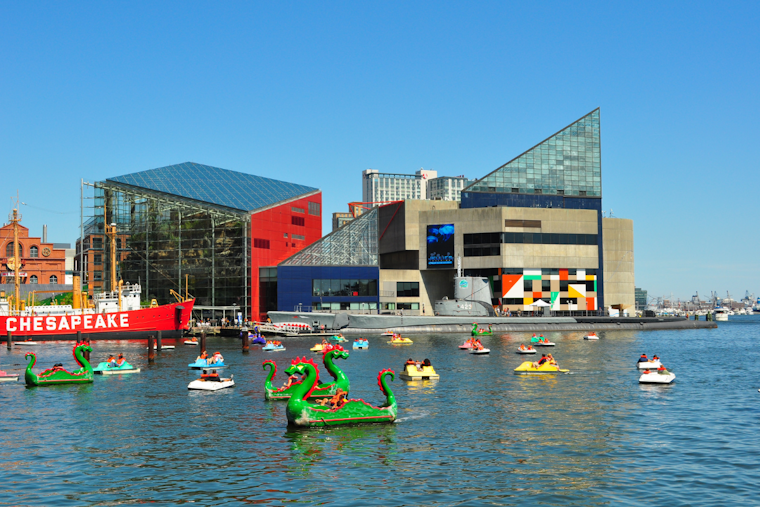 National Aquarium in Baltimore Celebrates 60 Millionth Visitor, Bolsters Maryland's Economy with $430 Million Impact