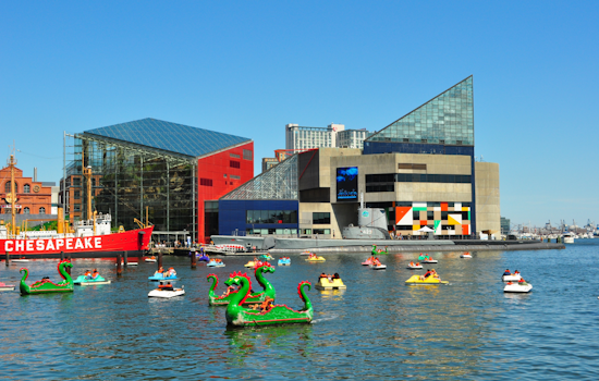 National Aquarium in Baltimore Celebrates 60 Millionth Visitor, Bolsters Maryland's Economy with $430 Million Impact