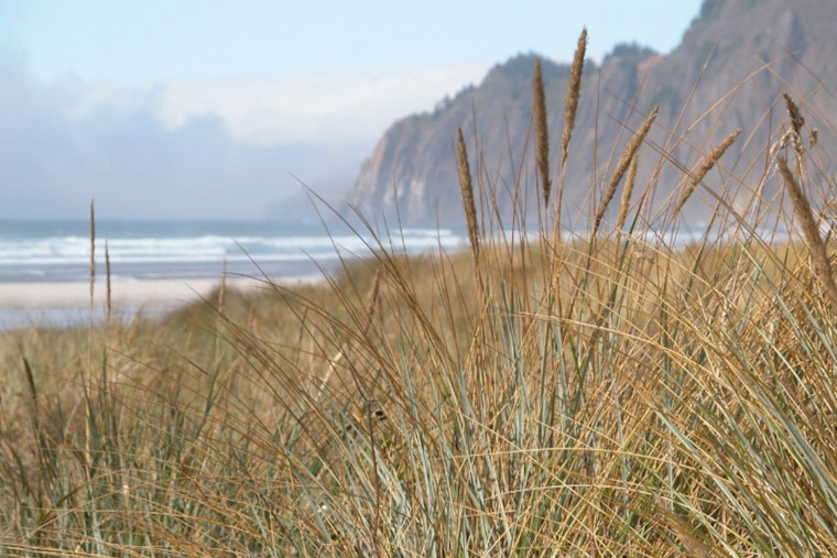 Nehalem Bay State Park Campground Reservations Extend Closure Through July 2025 Amid Renovations