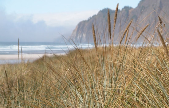 Nehalem Bay State Park Campground Reservations Extend Closure Through July 2025 Amid Renovations