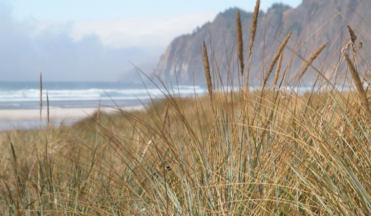 Nehalem Bay State Park Campground Reservations Extend Closure Through July 2025 Amid Renovations
