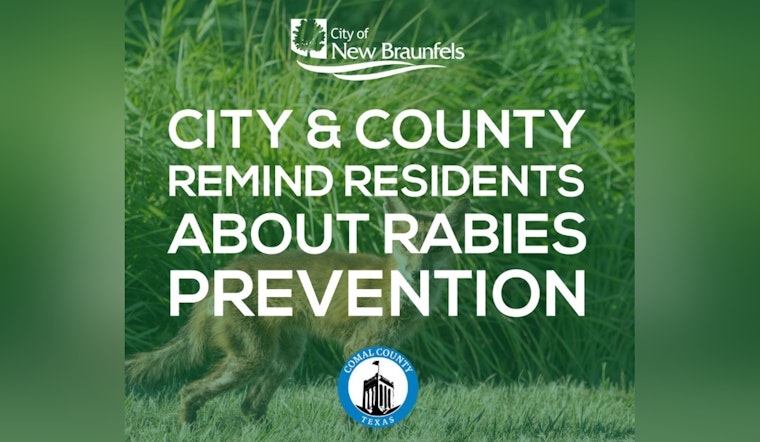 New Braunfels Warns Residents As Rabies Cases Rise; Fox Marks 24th Incident This Year