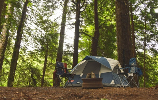 New Camping Regulations Roll Out in Polk County for 2025 Season