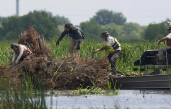 New Orleans Continues Environmental Leadership with Annual Christmas Tree Recycling Program for Wetland Restoration