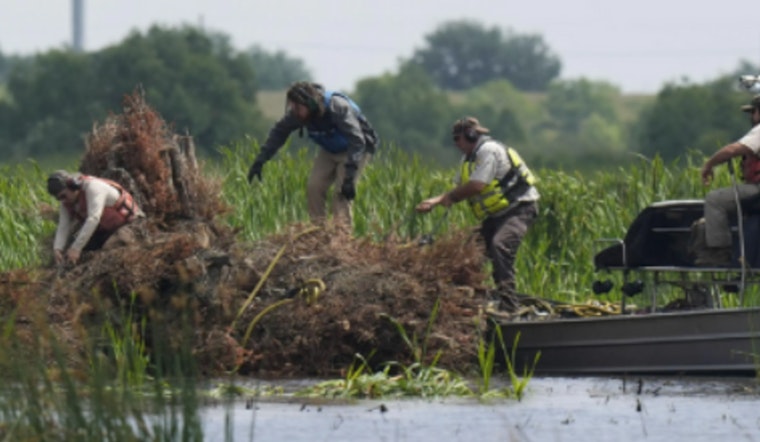 New Orleans Continues Environmental Leadership with Annual Christmas Tree Recycling Program for Wetland Restoration