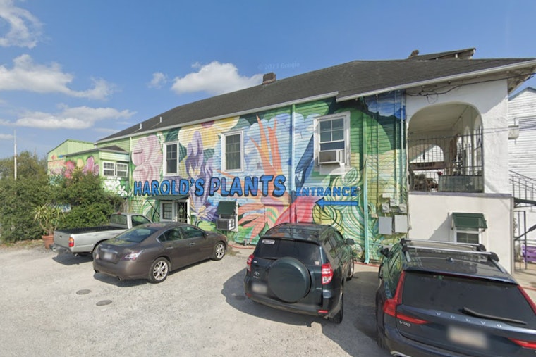 New Orleans Woman Suspected of Cross-Jurisdictional Bonsai Thefts, Facing Charges