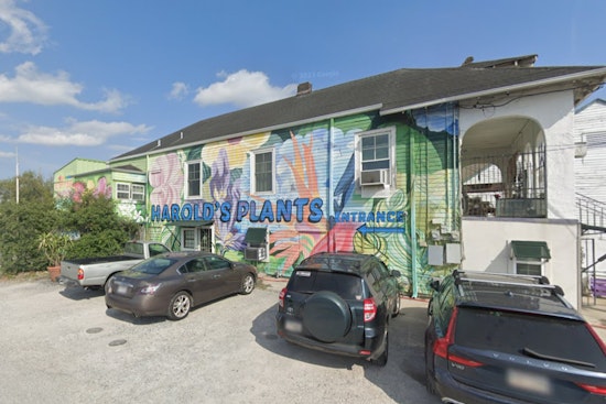 New Orleans Woman Suspected of Cross-Jurisdictional Bonsai Thefts, Facing Charges
