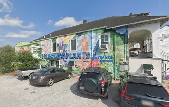 New Orleans Woman Suspected of Cross-Jurisdictional Bonsai Thefts, Facing Charges