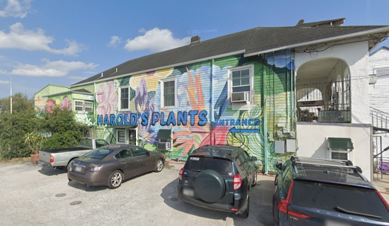 New Orleans Woman Suspected of Cross-Jurisdictional Bonsai Thefts, Facing Charges