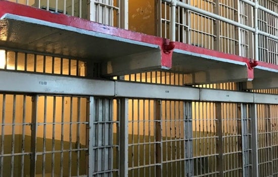 New York Advocates Rally for Parole System Overhaul Amid Calls for Racial Equity in Criminal Justice