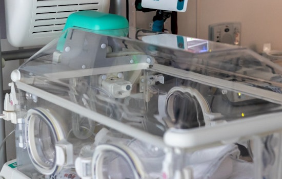 New York and California Face Alarming Rise in Preterm Birth Rates, Studies Show