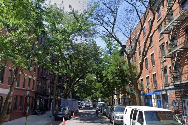 New York City Arborists Sound Alarm on Street Trees Suffering Amid Historic Drought