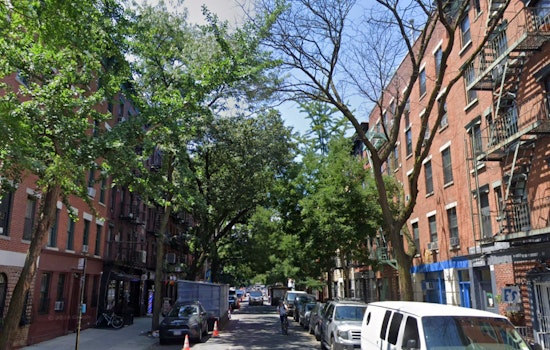 New York City Arborists Sound Alarm on Street Trees Suffering Amid Historic Drought