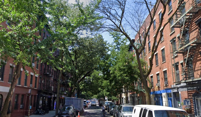 New York City Arborists Sound Alarm on Street Trees Suffering Amid Historic Drought