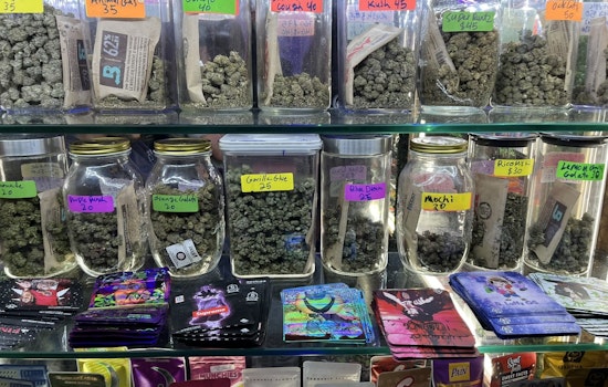 New York City Sheriff Shuts Down East Village Dispensary with 100 Pounds of Cannabis in "Padlock to Protect" Raid