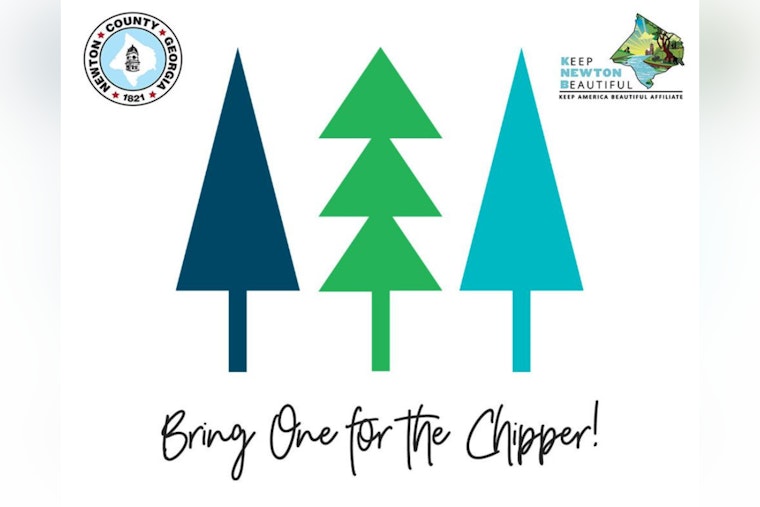 Live christmas trees philadelphia