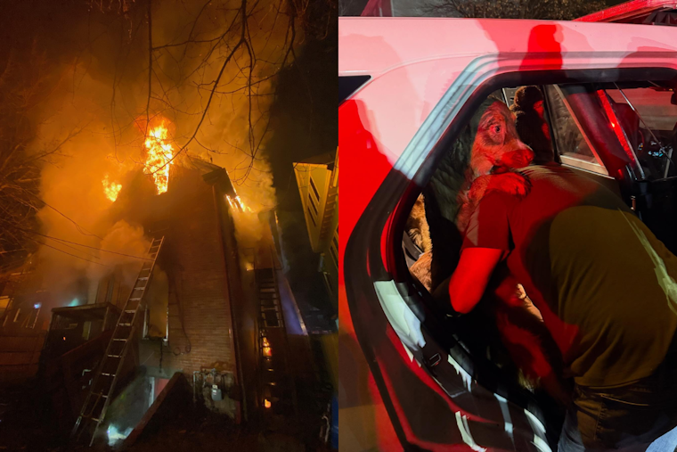 No Injuries as Firefighters Rescue Dogs from East Columbus House Fire on Christmas Morning