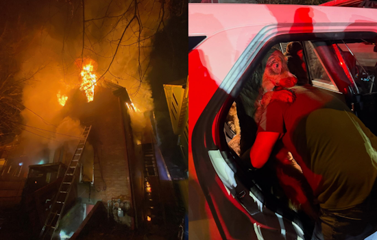 No Injuries as Firefighters Rescue Dogs from East Columbus House Fire on Christmas Morning