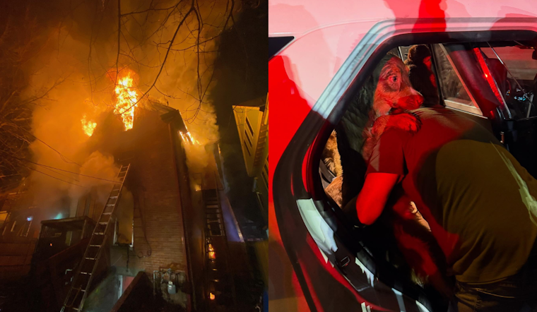 No Injuries as Firefighters Rescue Dogs from East Columbus House Fire on Christmas Morning