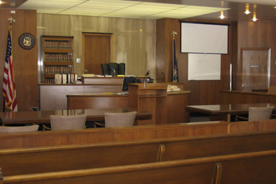 Norton Shores Woman's Restitution Debated in Court, Big Lake Human Society Confronts Financial Strain Amid Animal Cruelty Case