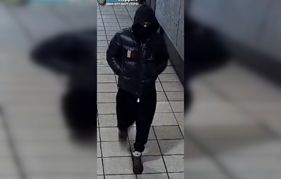 NYPD Seeks Public's Help to Locate Suspects in Bronx Armed Robbery Case