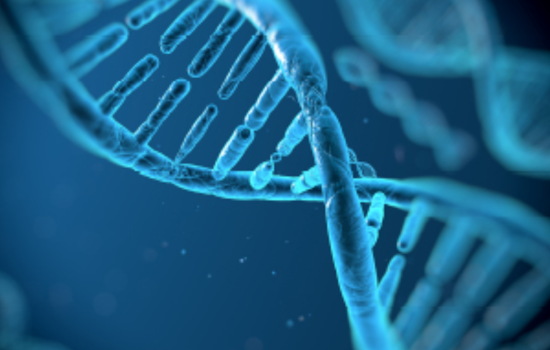 Ohio Supreme Court Orders Reevaluation of Cleveland Man's DNA Test Request in 2016 Murder Case