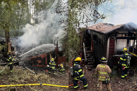 One Confirmed Fatality in Forestville Cabin Fire, Sonoma County Firefighters Prevent Spread