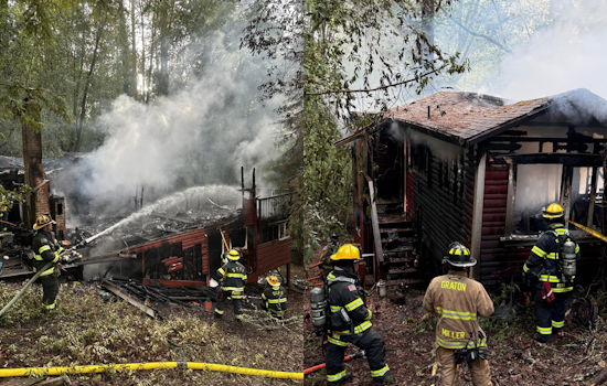 One Confirmed Fatality in Forestville Cabin Fire, Sonoma County Firefighters Prevent Spread