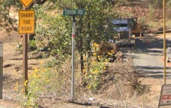 One Dead, Several Injured in Four-Car Collision on Highway 88 in Pine Grove