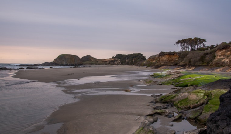 Oregon Authorities Approve Sport Bay Crabbing Statewide as Domoic Acid Levels Subside