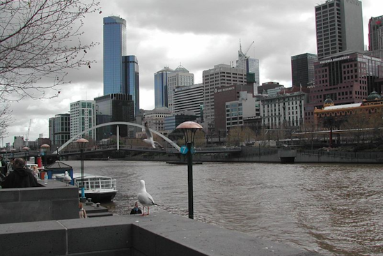 Orlando Prepares for Cold Snap with Wind Chills in the 30s, NWS Melbourne Issues Advisory