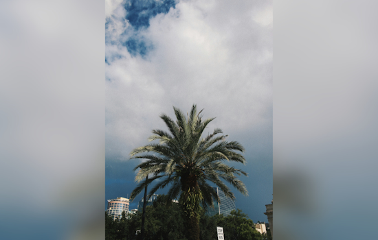 Orlando to Face Showers and Storms as Cold Front Sweeps In, Blustery Winds Expected, NWS Advises Caution