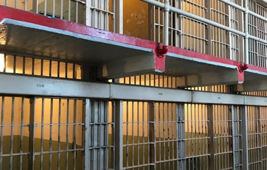 Palm Coast Man Sentenced to Over Two Years for Illegal Firearm Purchase Attempt