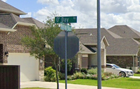 Pearland Police Search for Driver in Hit-and-Run Involving Horse