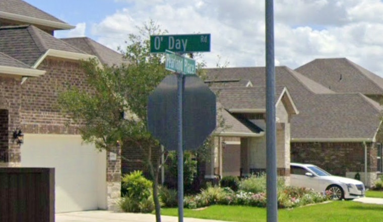 Pearland Police Search for Driver in Hit-and-Run Involving Horse