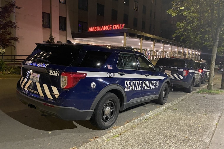 Pedestrian Fatally Struck by Car in Seattle's South Park Neighborhood