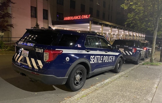 Pedestrian Fatally Struck by Car in Seattle's South Park Neighborhood