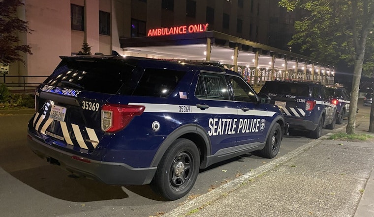 Pedestrian Fatally Struck by Car in Seattle's South Park Neighborhood