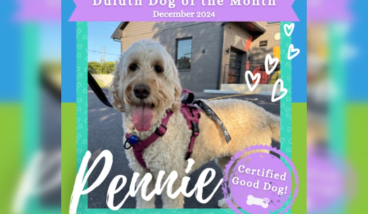 Pennie the Goldendoodle Wins Duluth's Dog of the Month for Environmental Stewardship