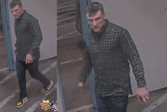 Petaluma Police Appeal for Public Assistance in Violent Assault Case Outside New Yorker Bar