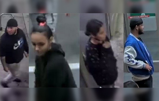 Philadelphia Police Request Public Assistance in Locating Suspects in Target Dog Theft Case