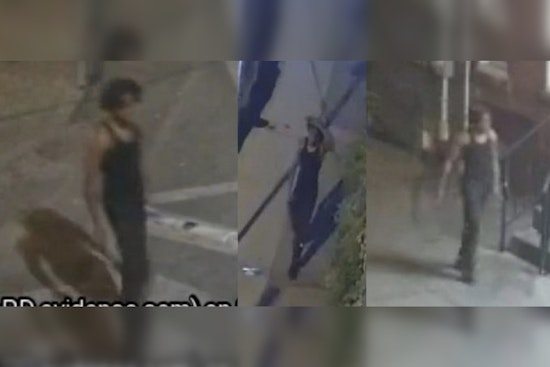 Philadelphia Police Seek Help to Identify Suspect in Fatal Hit-and-Run Incident in 5th and Indiana Ave