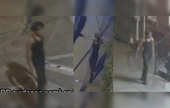 Philadelphia Police Seek Help to Identify Suspect in Fatal Hit-and-Run Incident in 5th and Indiana Ave