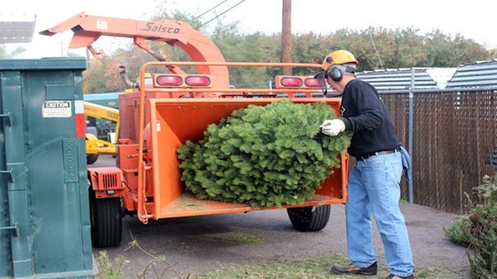 Phoenix Offers Free Composting for Live Christmas Trees and Greenery to Promote Sustainability