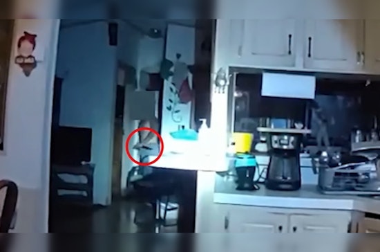 Phoenix Police Release Video of Officer-Involved Shooting Following Domestic Violence Call