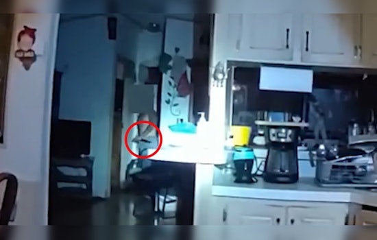 Phoenix Police Release Video of Officer-Involved Shooting Following Domestic Violence Call